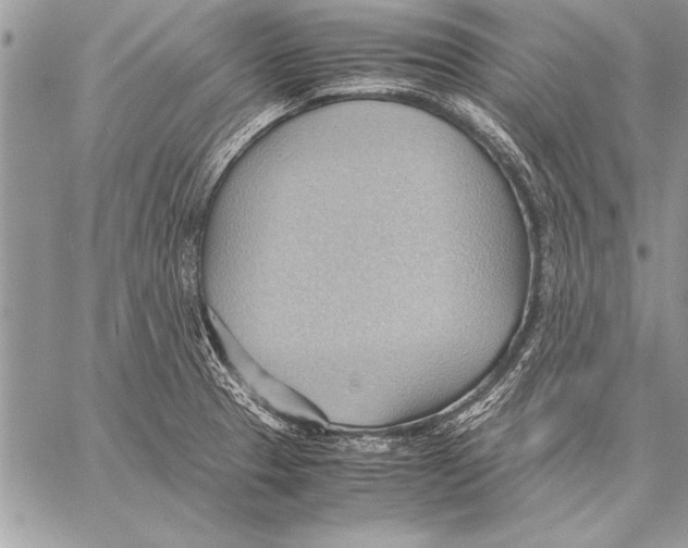 X0000057581329200510171658