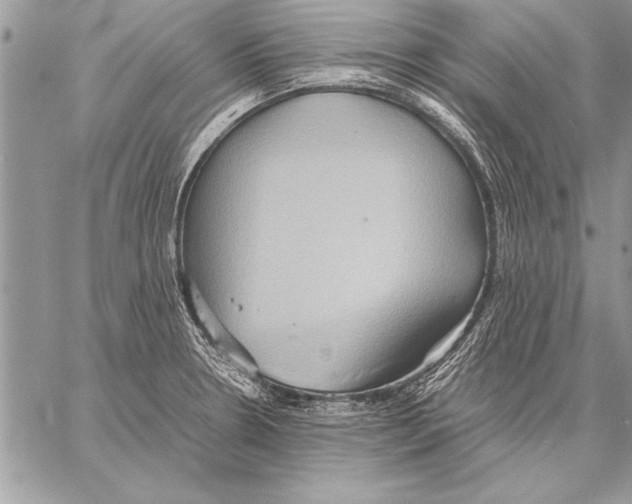 X0000057581330200510171658