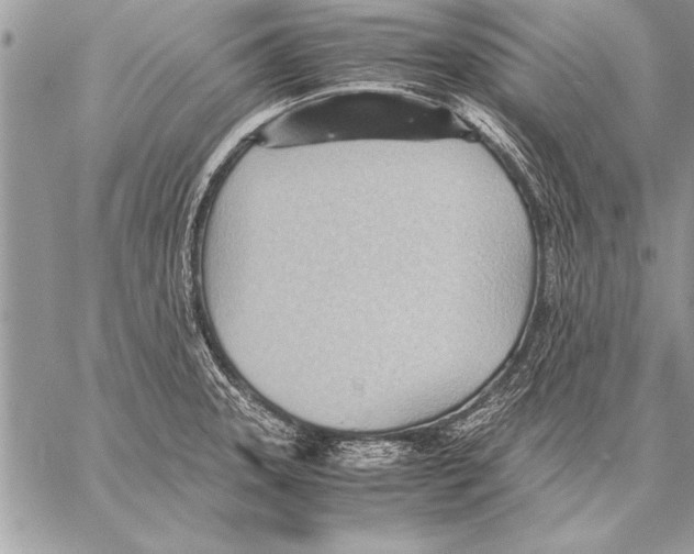 X0000057581331200510171658