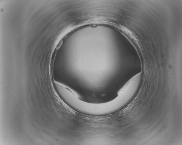 X0000057581334200510171658