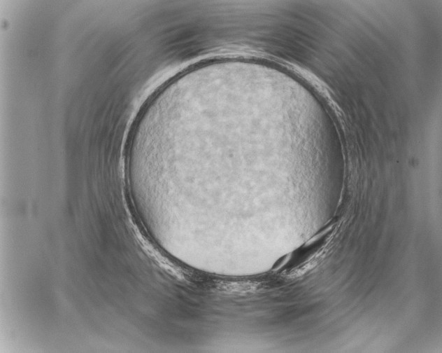 X0000057581335200510171658