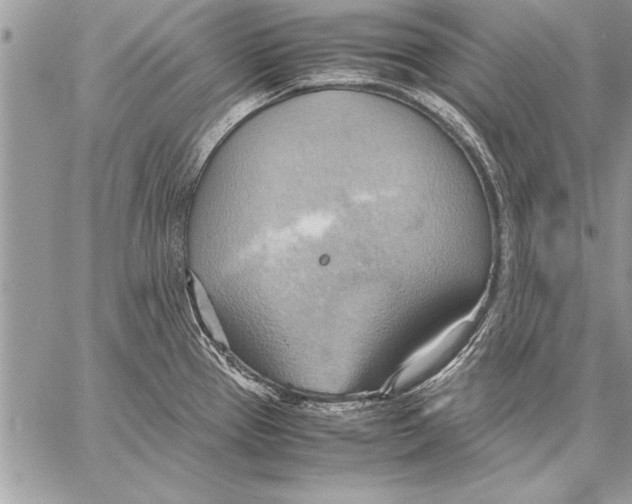 X0000057581337200510171658