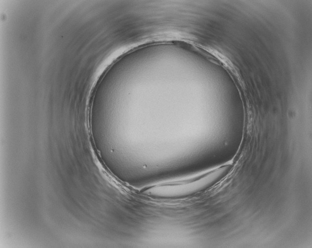 X0000057581342200510171658