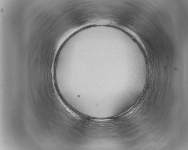 X0000057581343200510171658