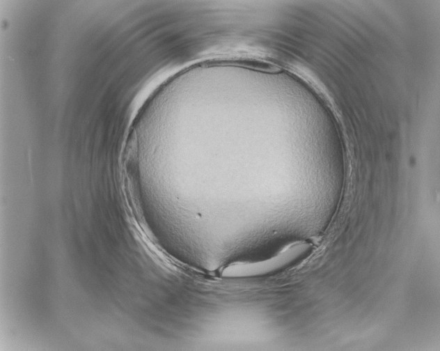 X0000057581344200510171658