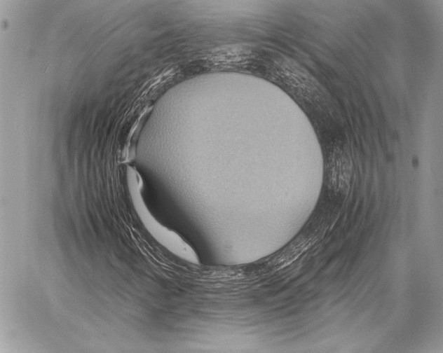 X0000057581346200510171657