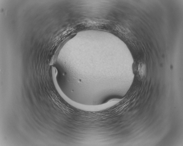 X0000057581348200510171657