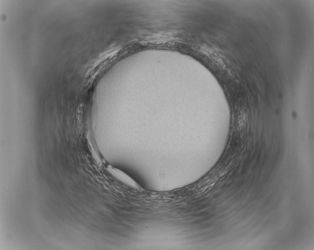 X0000057581350200510171657