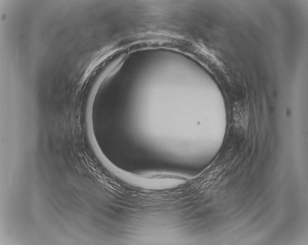 X0000057581352200510171657