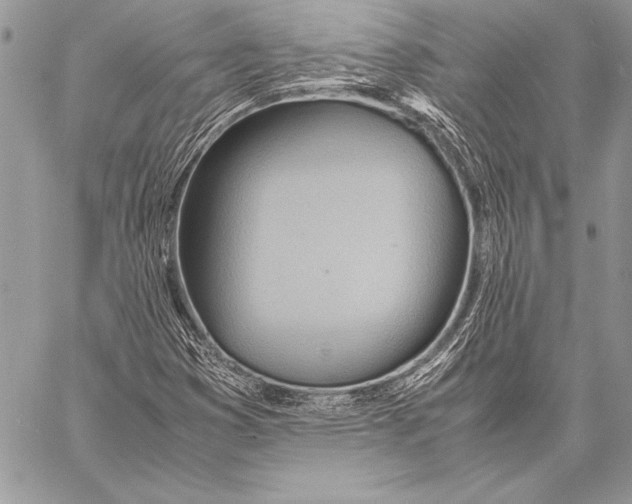 X0000057581353200510171657