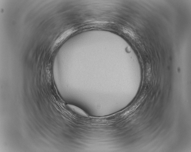 X0000057581354200510171657