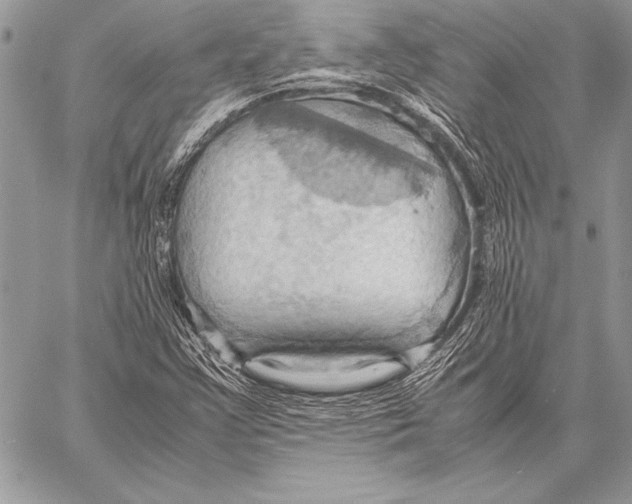 X0000057581355200510171657