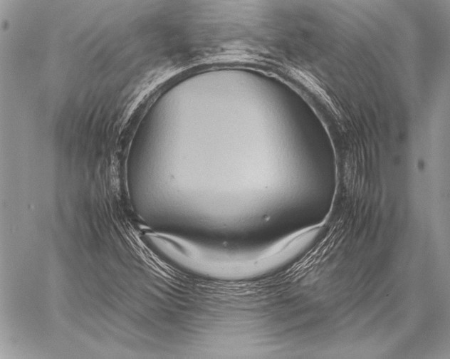 X0000057581356200510171657