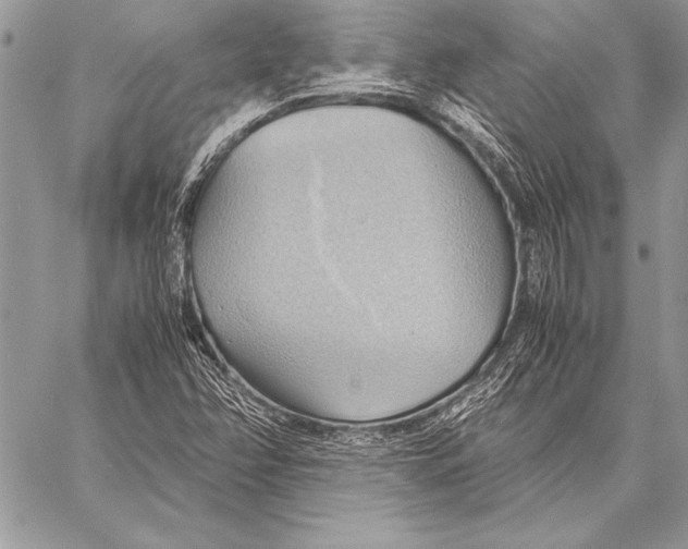 X0000057581358200510171657