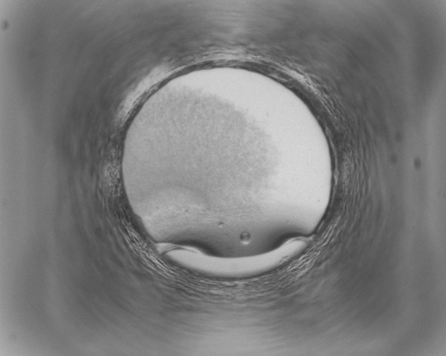 X0000057581359200510171657