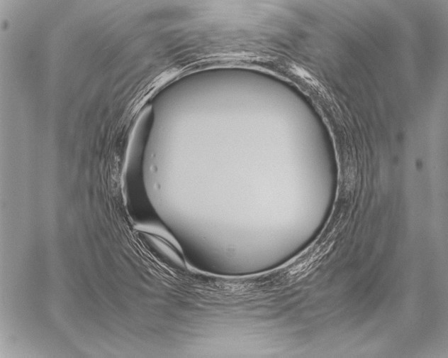 X0000057581361200510171657