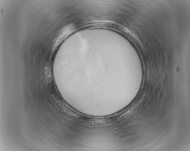 X0000057581362200510171657