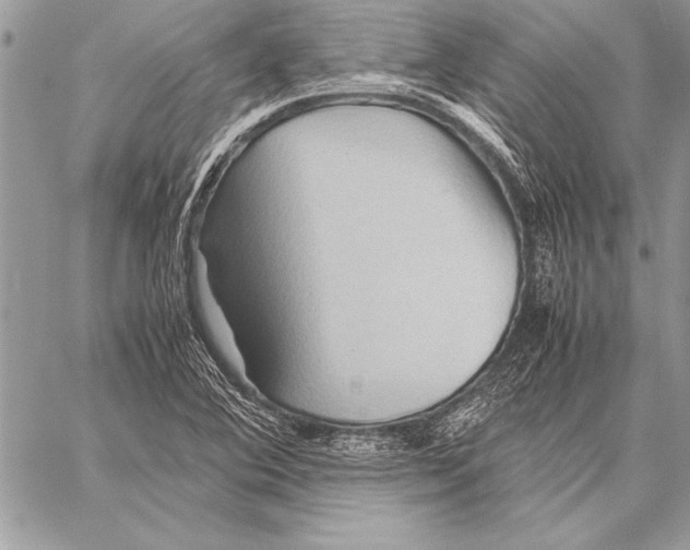 X0000057581364200510171657