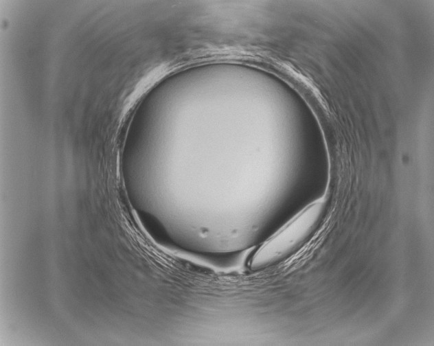 X0000057581365200510171657