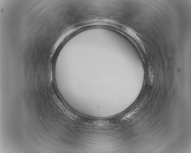 X0000057581368200510171657