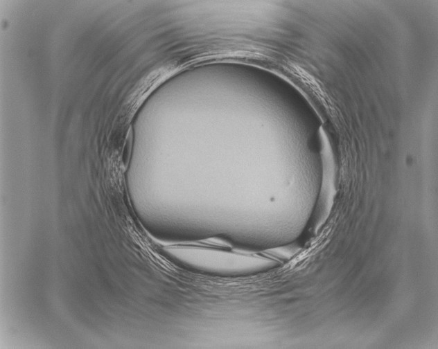 X0000057581369200510171657