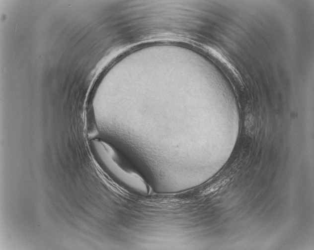 X0000057581372200510171657