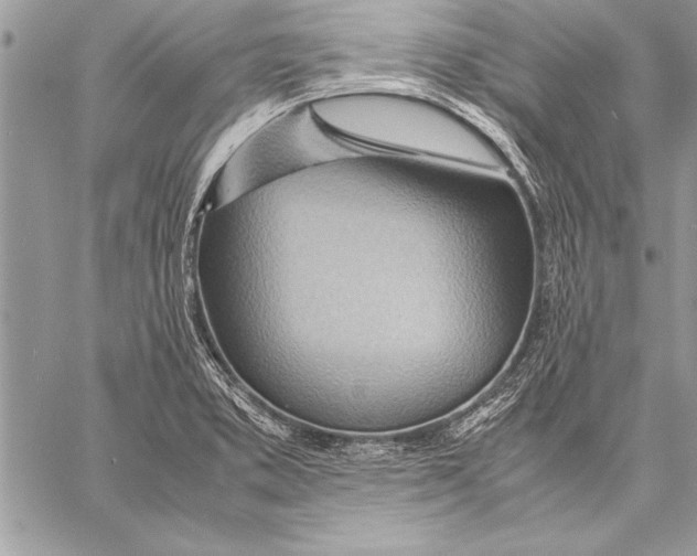 X0000057581373200510171657