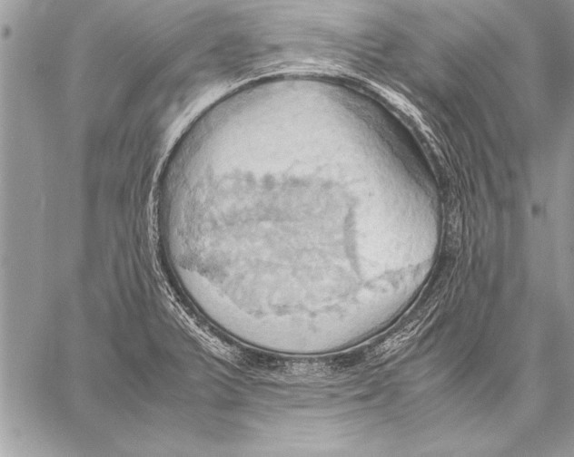 X0000057581375200510171657