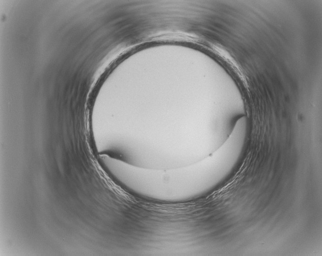 X0000057581376200510171657