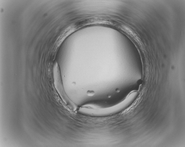 X0000057581377200510171657