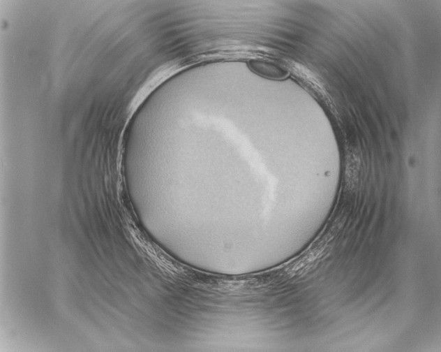 X0000057581378200510171657