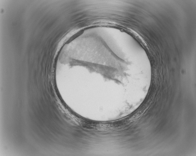 X0000057581379200510171657