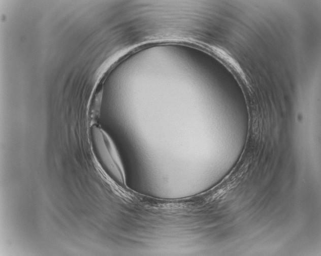 X0000057581380200510171657