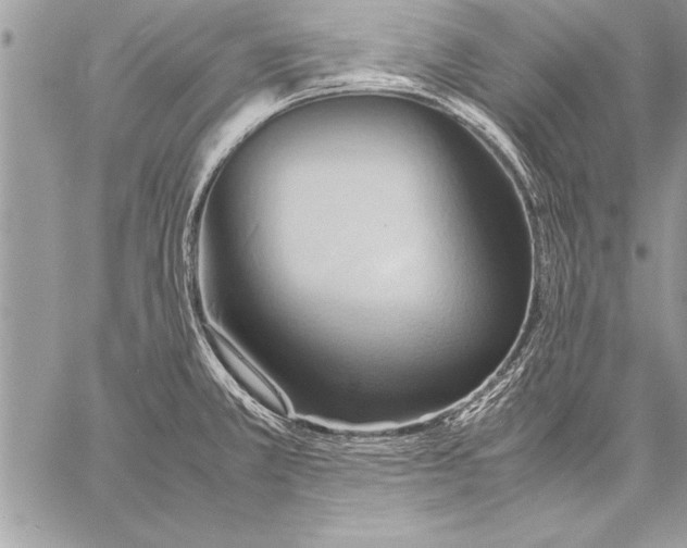 X0000057581381200510171657