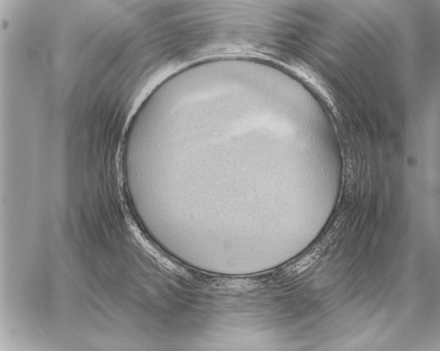 X0000057581382200510171657