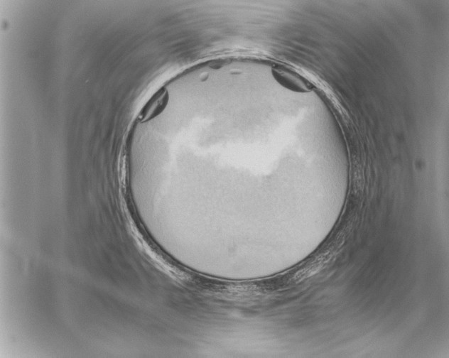 X0000057581383200510171657