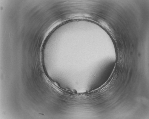 X0000057581384200510171657