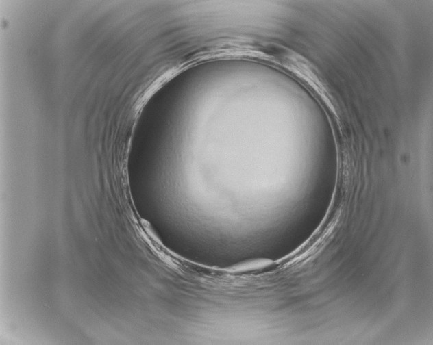 X0000057581385200510171657