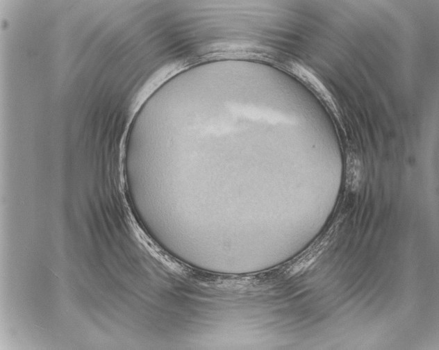 X0000057581386200510171657