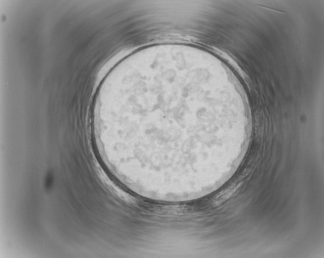 X0000057581387200510171657