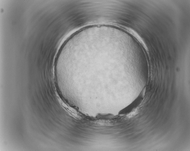 X0000057581388200510171657