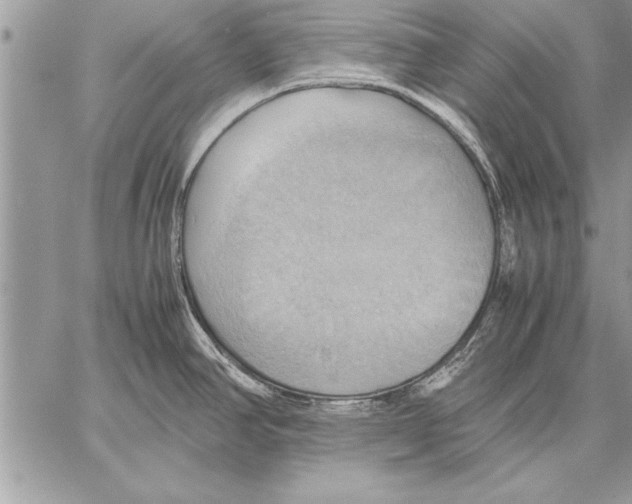 X0000057581390200510171657