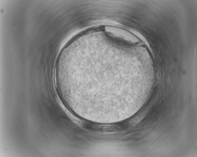 X0000057581391200510171657