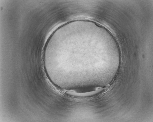 X0000057581392200510171657