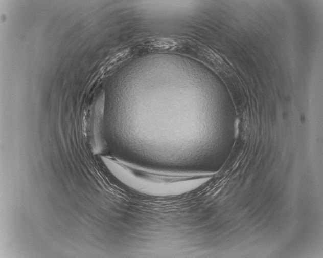 X0000057581394200510171656