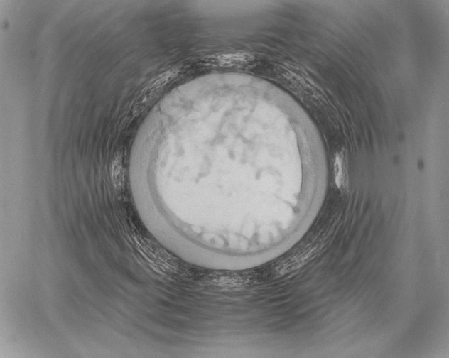 X0000057581395200510171656