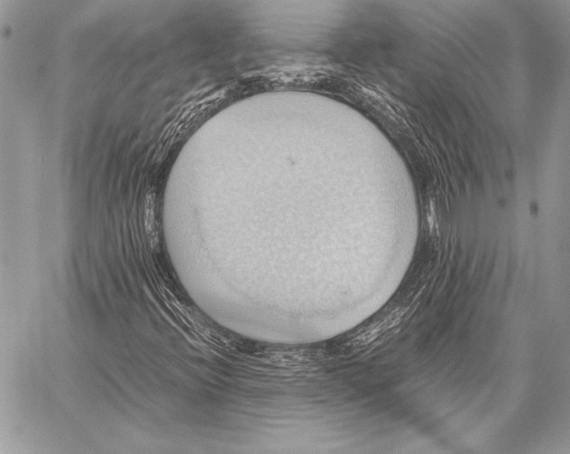 X0000057581396200510171656