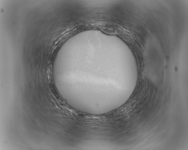 X0000057581397200510171656