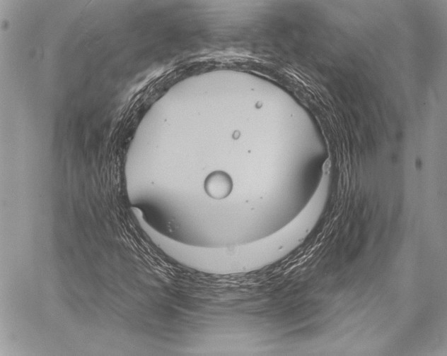 X0000057581398200510171656