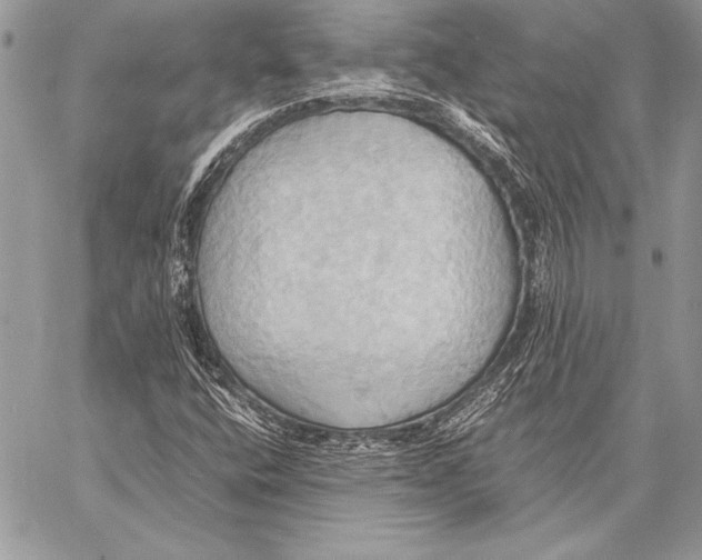 X0000057581400200510171656